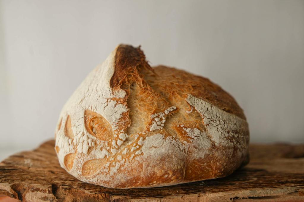 Sourdough’s most famous baker – Taylor&nbsp;Swift!